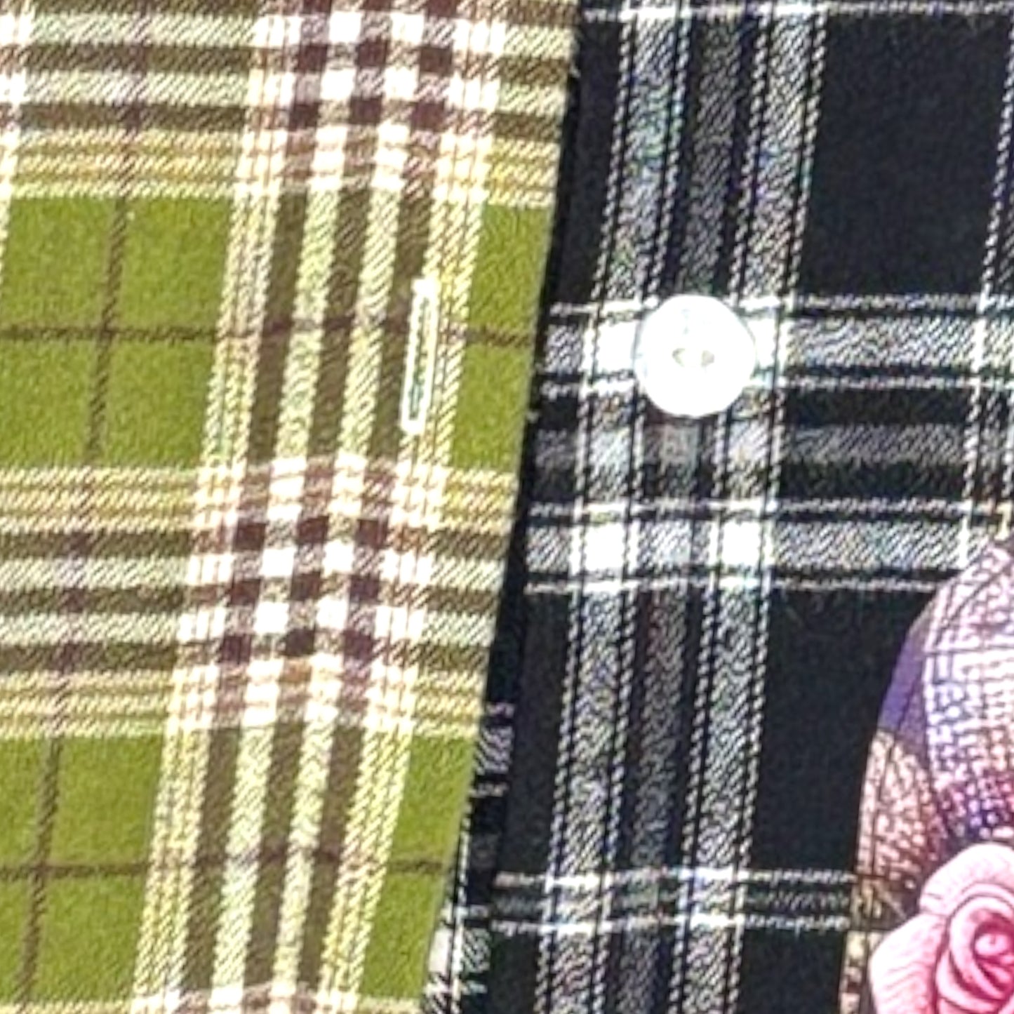 Camisa