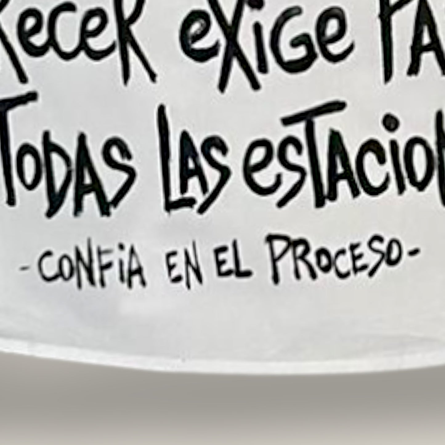 Camisa de popelina blanca pintada a mano – “Florecer exige pasar por todas las estaciones”